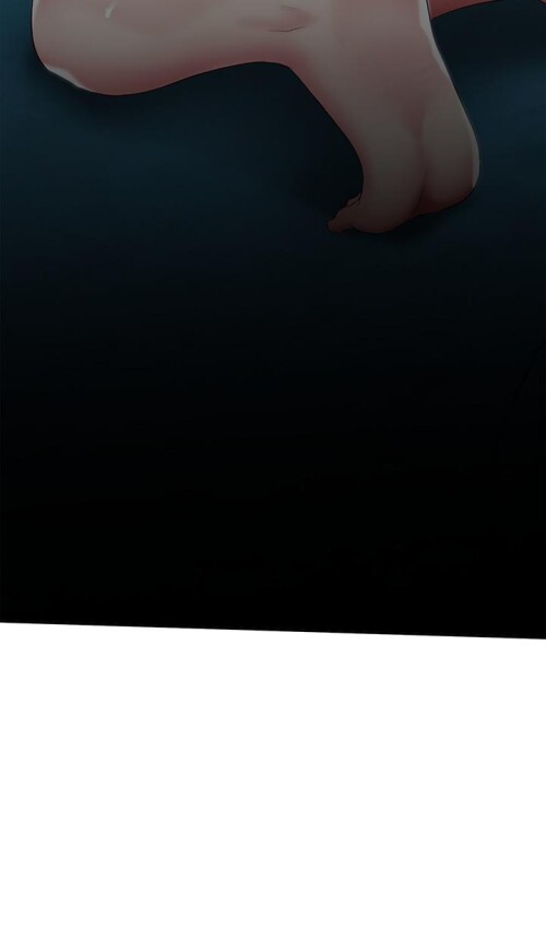 82 36