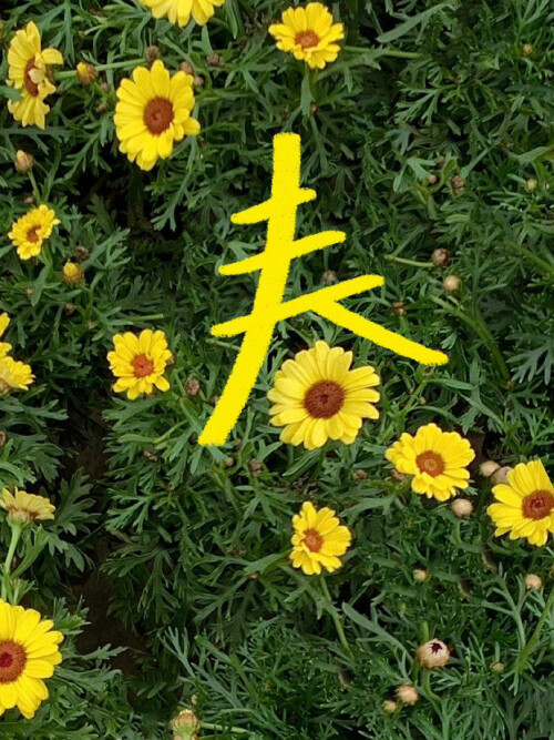 春