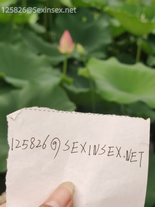 9e1d3690d119e83c8129b76162703b1e.jpg