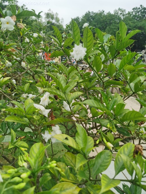 a9bbd6ada65b81529716d07068b0e95b.jpg