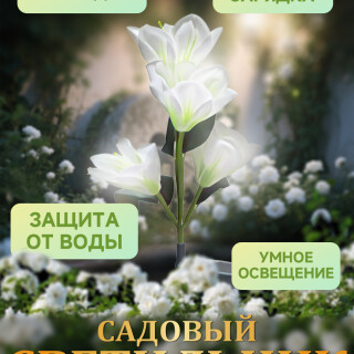 02d3d87e4640ddc78bbddd49fdefb9aa