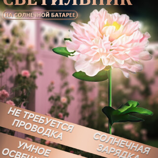 0381ebdd15d534805864663731651013
