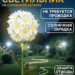 0648a68be998944579f4e78fde50330b