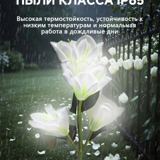 164113701d3921702960a0141ce2cebf