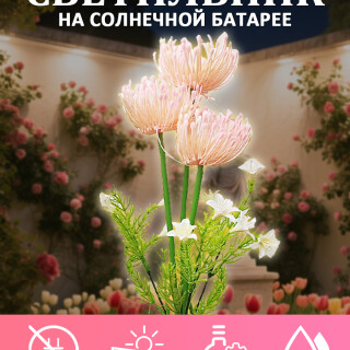3e98773f9b3ce1ae1073393ca7107d76