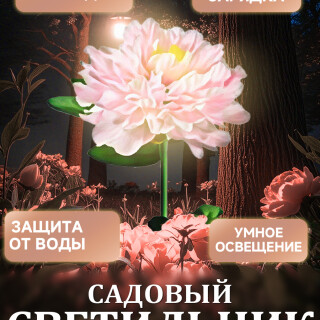 54c573475da0e77859cd047d72960db8