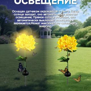 5c1f02e2f8d05194630665fcd0c9bdc7