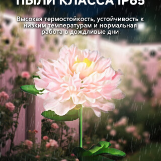 7b37dce6182fedc234bad3075a4dc058