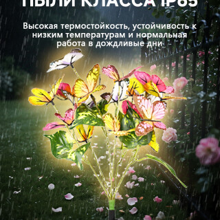 7f523567d146abdf4ed0199d6e882b79