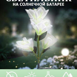 8ef04893081e9cb065e9c4ad4819480b