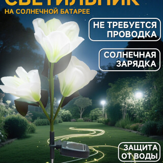 9fa63a9ce853768255dc513d0a1ee296