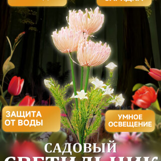 a981d1803ce7c116409d63d9dbe57061