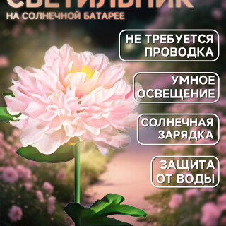 aa39348021ee12413461cc7b421a49af