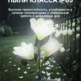 e2078b3fd54f80294cd55a1196848ef0