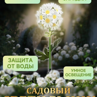 ebbb1c03e90e5d43efbf4d84adef3918