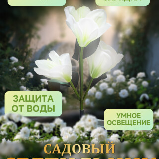 eec0982c583de756295f901045c1c26f