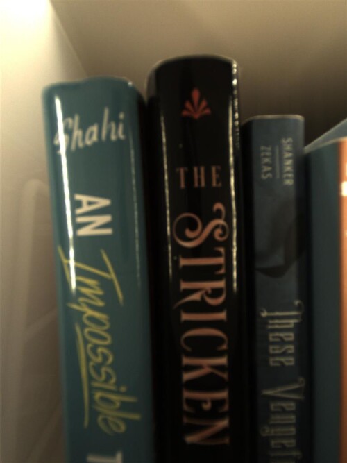 image 0042