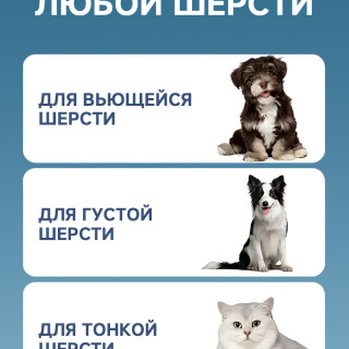 33b34a718c2fe7de8e69fee4f055041e