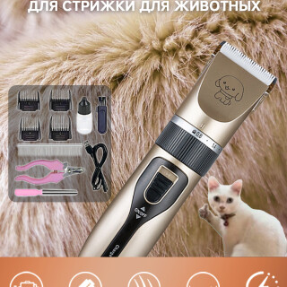 6a4814fee9d4a021d8856fd9d44fffb0