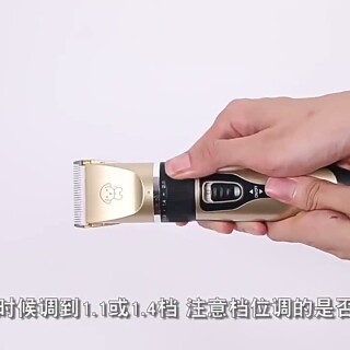 6fda28aa8b60cc019b4eea121815d5d3