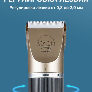 b7a6e3260c1211598808460cf4e2504d