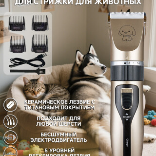 ed4d2335108a1b7c28f25b5feb48638d