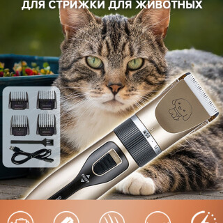 f13cc4aedcde8bdcf61da0d757754f60
