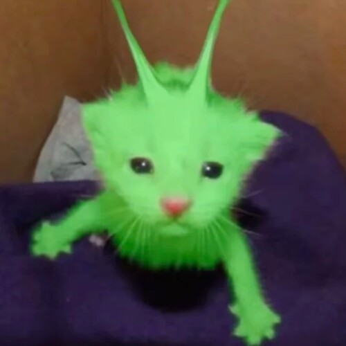 1000029250