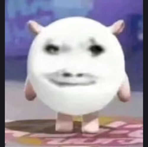 1000029242