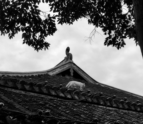 QQ20250703 214538