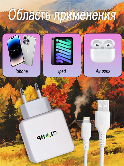 X3
