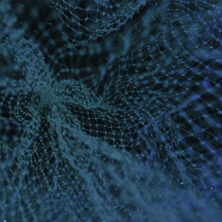 6d26e336f8ea1ff5e71fbf4364a08339