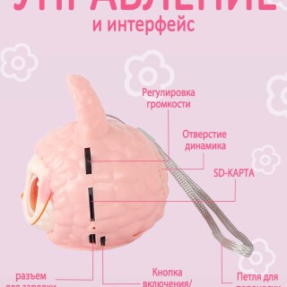 29b51e96c65f39b5fac1076cd1d84622
