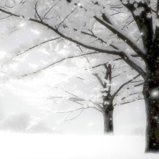 5d86b06a04fe296405369b189fd58e69