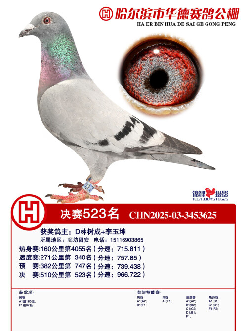523