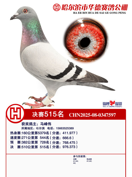 515