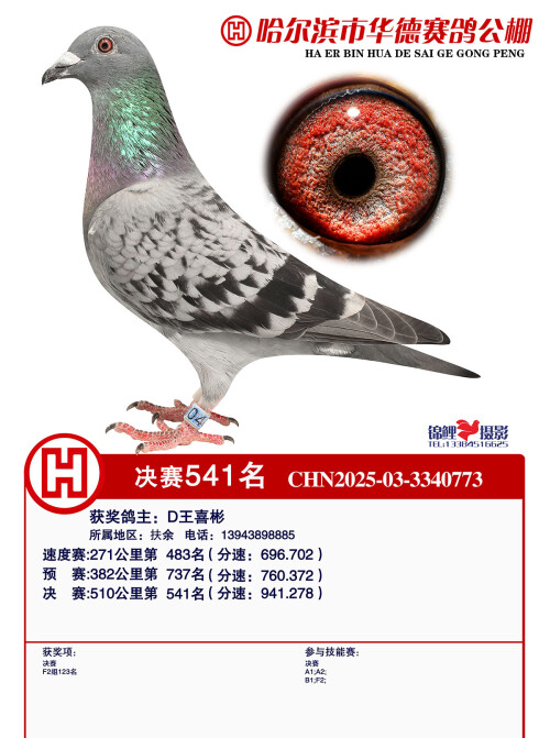 541