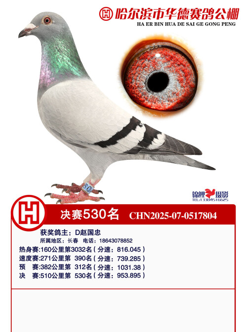 530