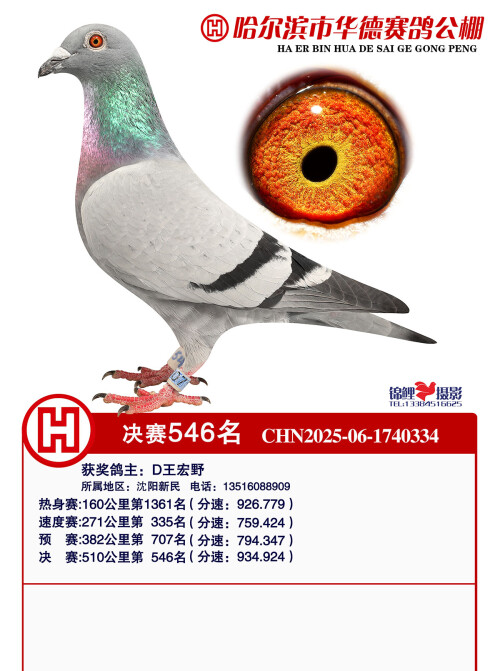 546