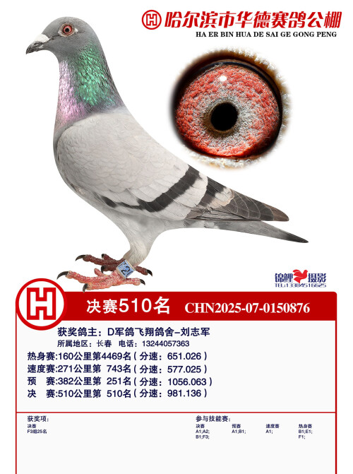 510