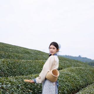 12d102493bee8316c947e6fe48d18bb0