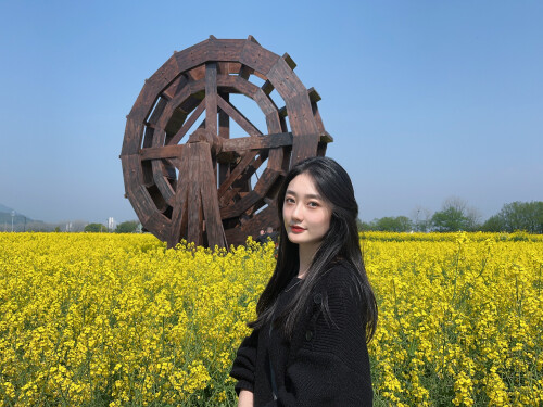 bf768d93a8d41eefa5fe6fbb068ae453.jpg