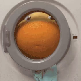 10063