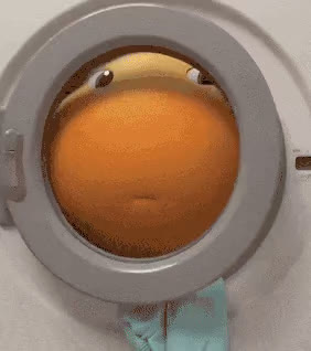10055