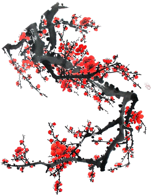 c75e4b92fcdc2b72e48ba83186f05223.png