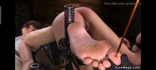 SC 1772439900558
