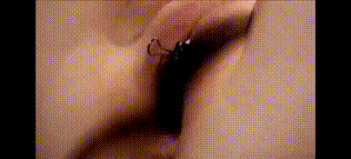 SC 1772681733161