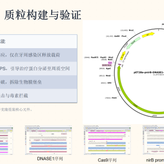 166ab47565084620e571f408525a7dbd