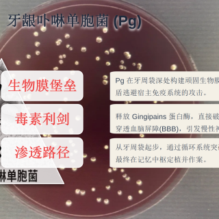 db643454581ee1a293628971f6e0f7ca