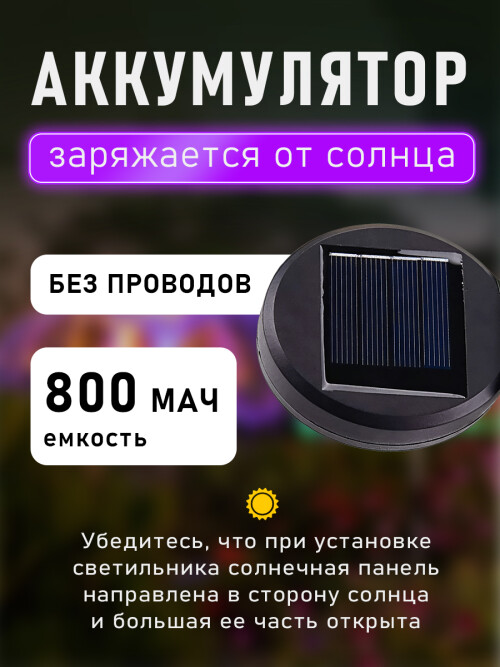 8a0b55f69ddbda61feb831c990f84d2b.jpg